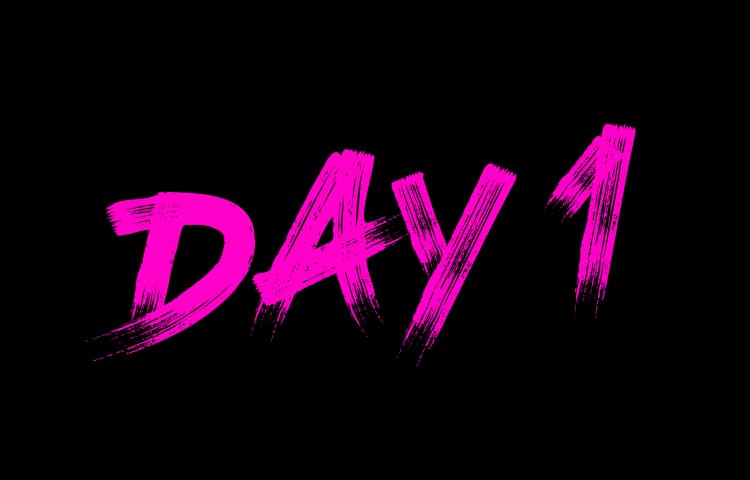 Day 1