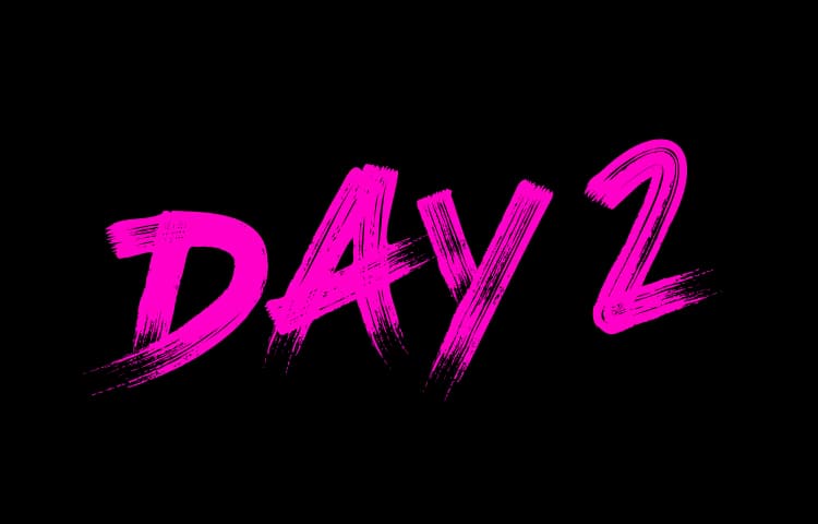 Day 2