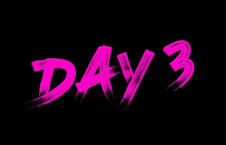 Day 3